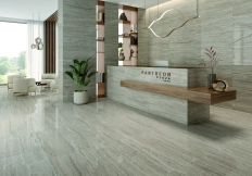 PANTHEON EV SILVER VE60x120