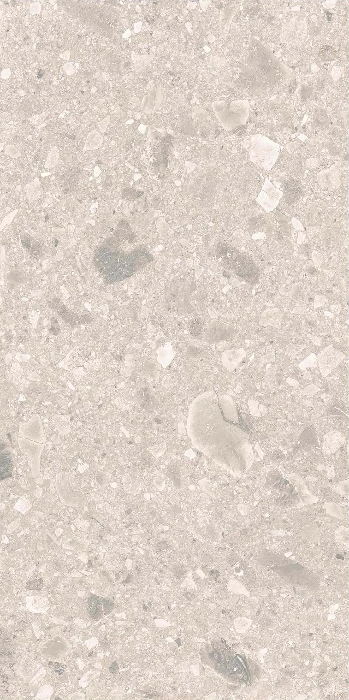 PIETRA DI GRE KEMIK (BONE) 60x120 — 4