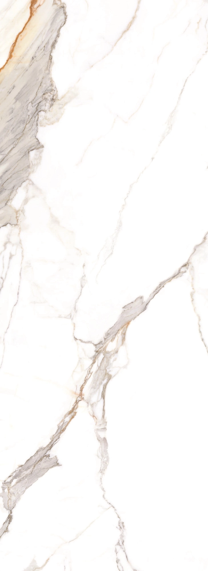 PRALINE GOLD SP 100x275 — 2