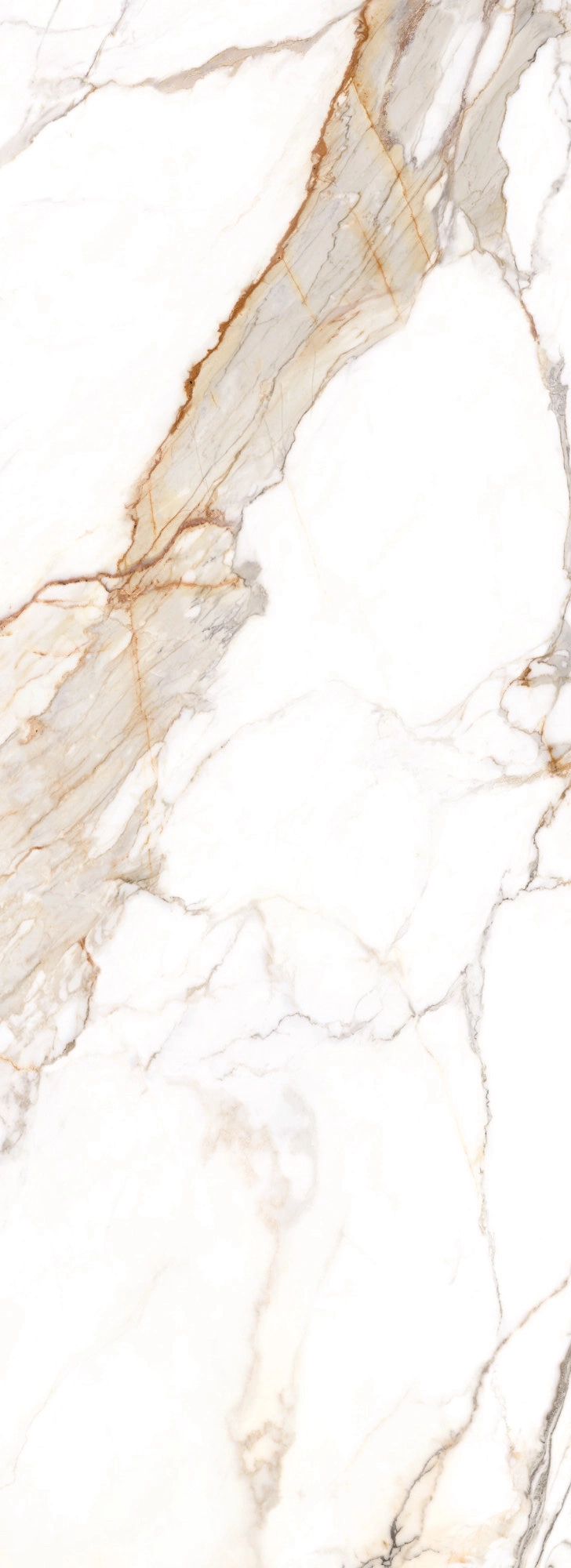 PRALINE GOLD SP 100x275 — 3