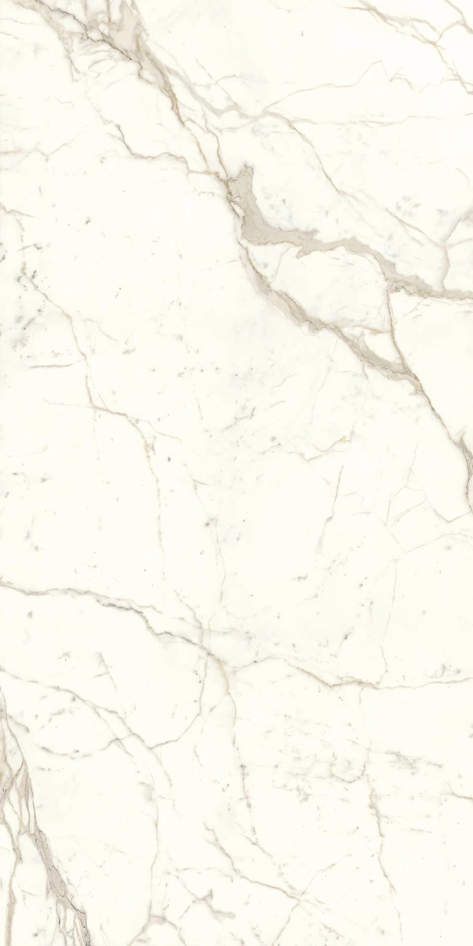Prestigio Bookmatch Silk 12 mm 162x324