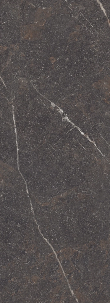 ROYAL BROWN ST 100x275