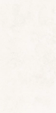STONE ART WHITE 60x120