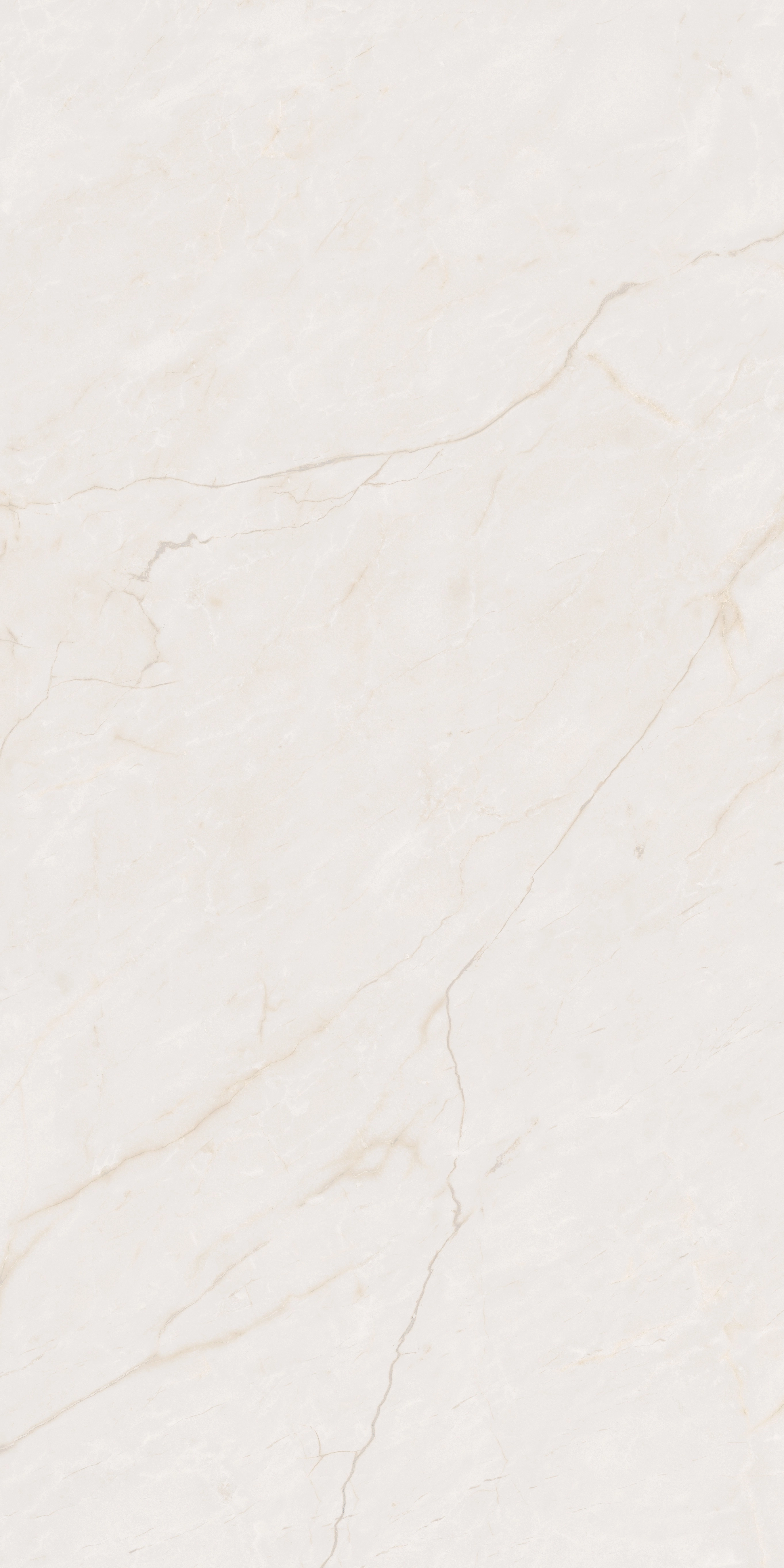 SUBLIME BEIGE POL Rect.60x120