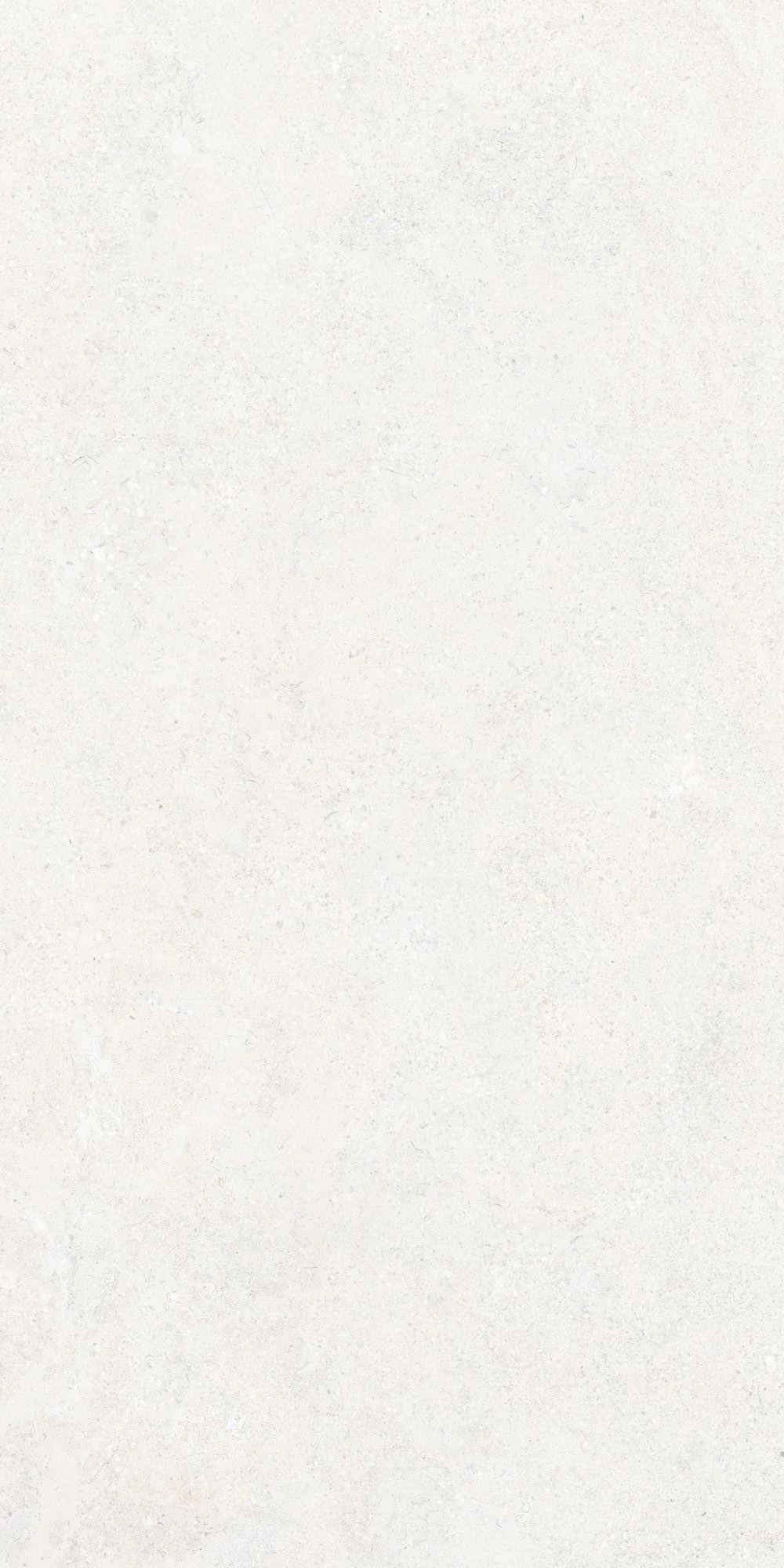VERSA WHITE SP 60x120 — 3