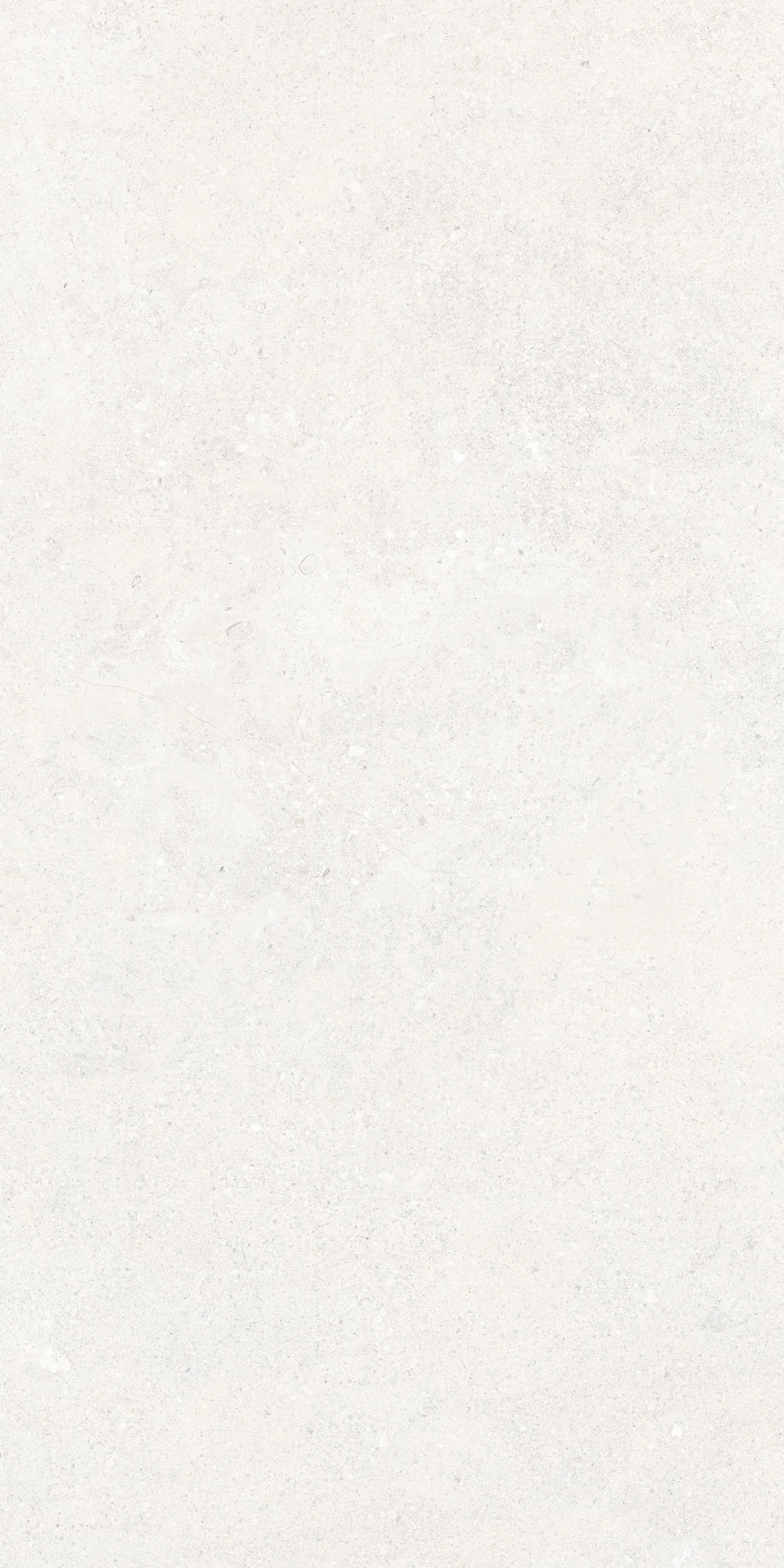 VERSA WHITE SP 60x120 — 2